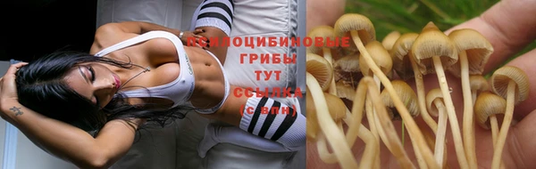 MDMA Premium VHQ Алзамай