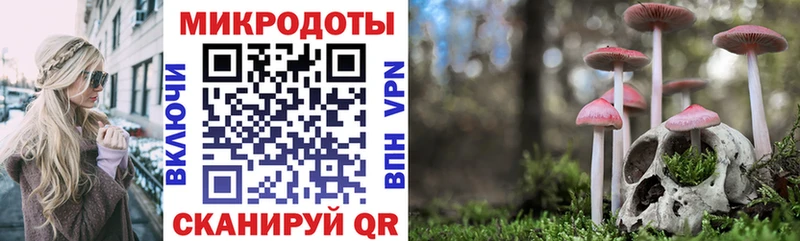 Галлюциногенные грибы Psilocybe  Кола 