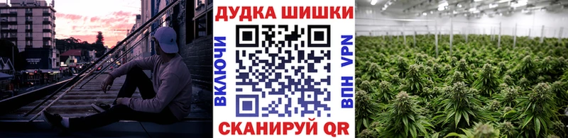 МАРИХУАНА сатива купить наркоту нарко площадка состав Кола